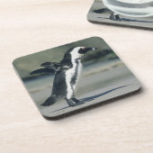 Afrikaanse pinguïn bier onderzetter (Linkerzijde)