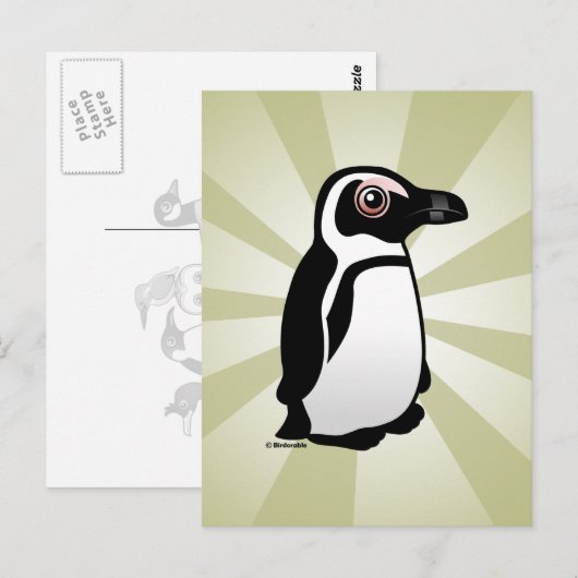 Afrikaanse pinguïn briefkaart (Voorkant / Achterkant)