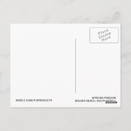Afrikaanse Pinguïn - Briefkaart (Achterkant)