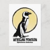 Afrikaanse pinguïn briefkaart (Voorkant)
