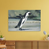 Afrikaanse pinguïn canvas afdruk (Insitu (Woonkamer))