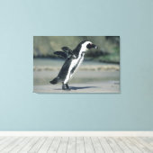 Afrikaanse pinguïn canvas afdruk (Insitu (Houten vloer))