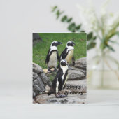Afrikaanse Pinguïn Foto Verjaardag Briefkaart (Staand voorkant)