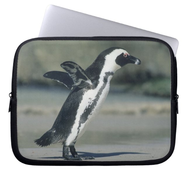 Afrikaanse pinguïn laptop sleeve (Voorkant)