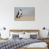 Afrikaanse pinguïn loopt canvas afdruk (Insitu (Slaapkamer))
