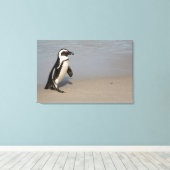 Afrikaanse pinguïn loopt canvas afdruk (Insitu (Houten vloer))