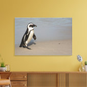 Afrikaanse pinguïn loopt canvas afdruk (Insitu (Woonkamer))