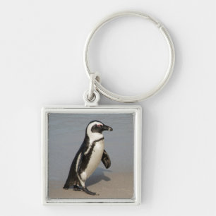 Afrikaanse pinguïn loopt sleutelhanger