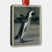 Afrikaanse pinguïn metalen ornament (Rechts)