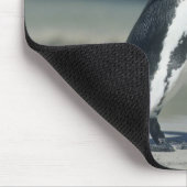 Afrikaanse pinguïn muismat (Hoek)