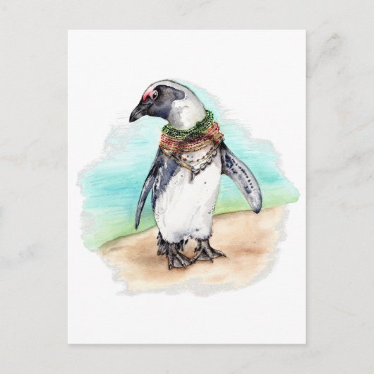 Afrikaanse Pinguïn op een strand Briefkaart (Voorkant)