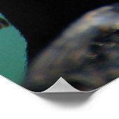 Afrikaanse pinguïn poster (Hoek)