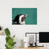 Afrikaanse pinguïn poster (Thuiskantoor)
