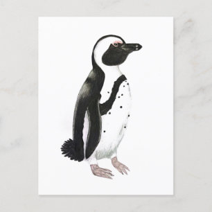 Afrikaanse pinguïn potlood tekening briefkaart