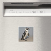 Afrikaanse pinguïn wandelt magneet (Insitu (Vaatwasser))