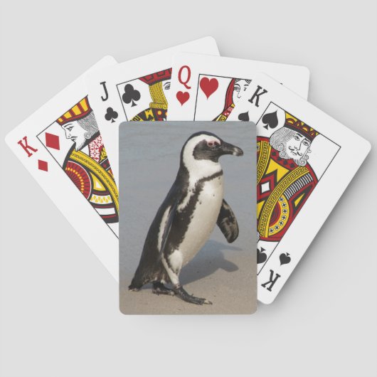 Afrikaanse pinguïn wandelt speelkaarten (Achterkant)
