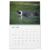 Afrikaanse pinguïns 2026 kalender (Mar 2026)