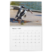 Afrikaanse pinguïns 2026 kalender (Feb 2027)