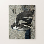 Afrikaanse pinguïns die elkaar kruipen legpuzzel (Verticaal)