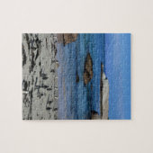 Afrikaanse pinguïns in Boulders Beach, Kaapstad; Legpuzzel (Horizontaal)