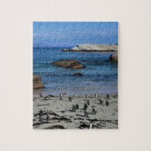Afrikaanse pinguïns in Boulders Beach, Kaapstad;