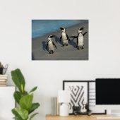 Afrikaanse pinguïns | Sfeniscus Demersus Poster (Thuiskantoor)