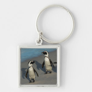 Afrikaanse pinguïns Sfeniscus Demersus Sleutelhanger