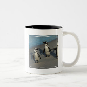 Afrikaanse pinguïns   Sfeniscus Demersus Tweekleurige Koffiemok