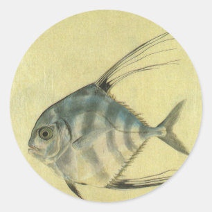 Afrikaanse Pompano Vis, Vintage Draadvinnige Horsm Ronde Sticker