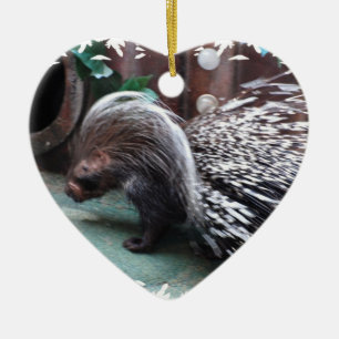 Afrikaanse Porcupine Ornaments Keramisch Ornament