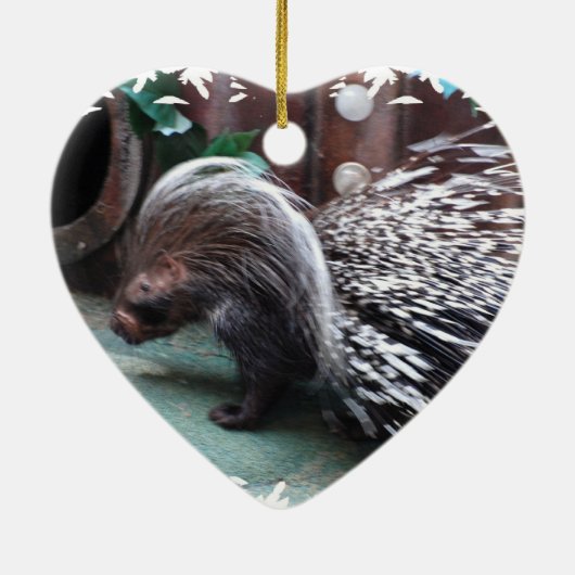 Afrikaanse Porcupine Ornaments Keramisch Ornament (Achterkant)