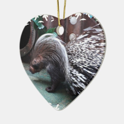 Afrikaanse Porcupine Ornaments Keramisch Ornament (Links)