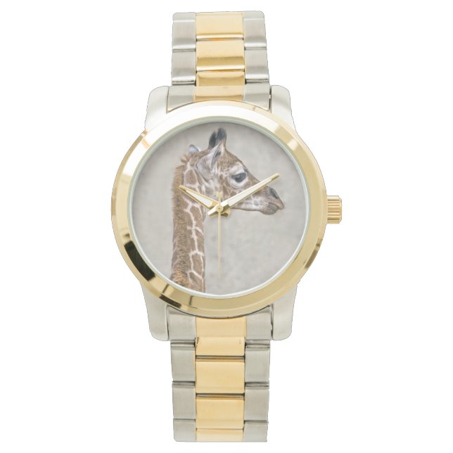 Afrikaanse Prince Horloge (Voorkant)