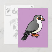 Afrikaanse Pygmy Falcon Briefkaart (Voorkant / Achterkant)