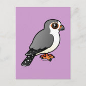 Afrikaanse Pygmy Falcon Briefkaart (Voorkant)