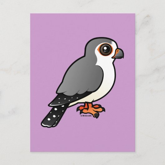 Afrikaanse Pygmy Falcon Briefkaart (Voorkant)
