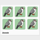 Afrikaanse Pygmy Falcon Vierkante Sticker (Vel)