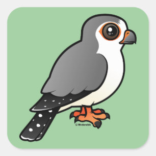 Afrikaanse Pygmy Falcon Vierkante Sticker