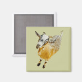 Afrikaanse Pygmy Goat Magnet (Voorkant / Achterkant)
