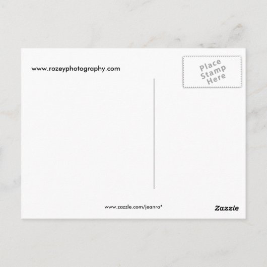 Afrikaanse Pygmy Goose Briefkaart (Achterkant)