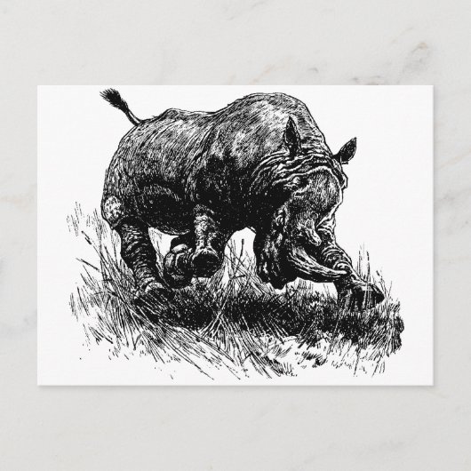 Afrikaanse Rhino Briefkaart (Voorkant)