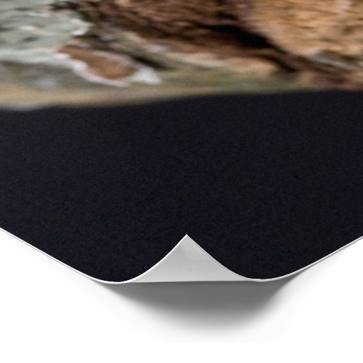 Afrikaanse rode ogen Treefrog, Leptopelis Poster (Hoek)