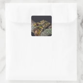 Afrikaanse rode ogen Treefrog, Leptopelis Vierkante Sticker (Tas)