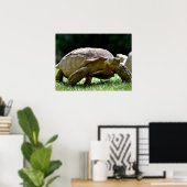 Afrikaanse rode tortoise op gras briefkaart poster (Thuiskantoor)
