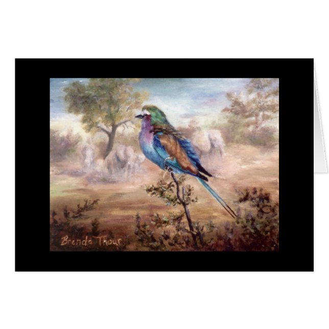 Afrikaanse Roller (Voorkant Horizontaal)