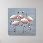 Afrikaanse roze flamingo's uit de Serengeti Canvas Afdruk (Voorkant)