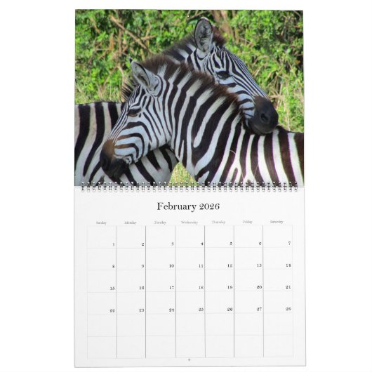 Afrikaanse Safari 2025 groot Kalender (Feb 2026)