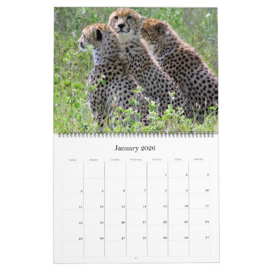 Afrikaanse Safari 2025 groot Kalender (Jan 2026)