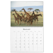Afrikaanse safari 2026 groot kalender (Mar 2027)