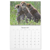 Afrikaanse safari 2026 groot kalender (Jan 2027)